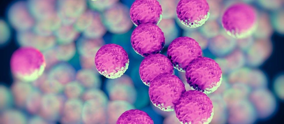 AI-driven antimicrobial resistance project breaks new ground