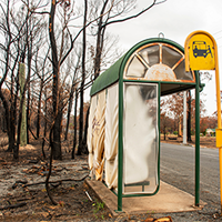 What the evidence tells us about bushfire recovery