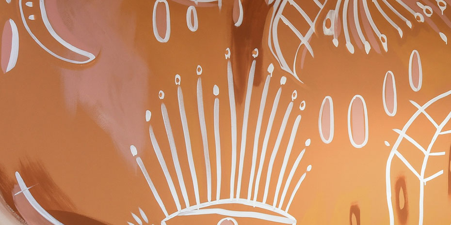 20 years of working in partnership with Aboriginal communities